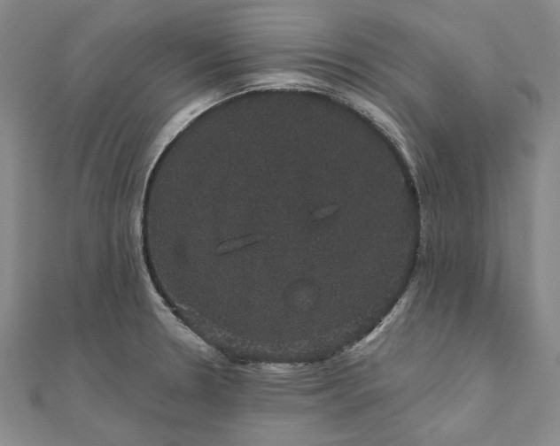 X0000111911330200908031130