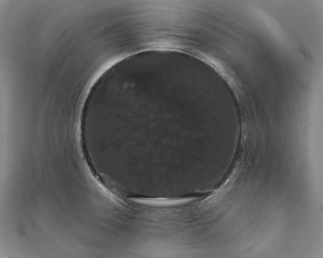X0000111911331200908031130