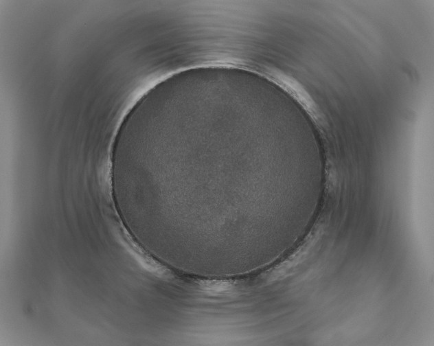 X0000111911332200908031130