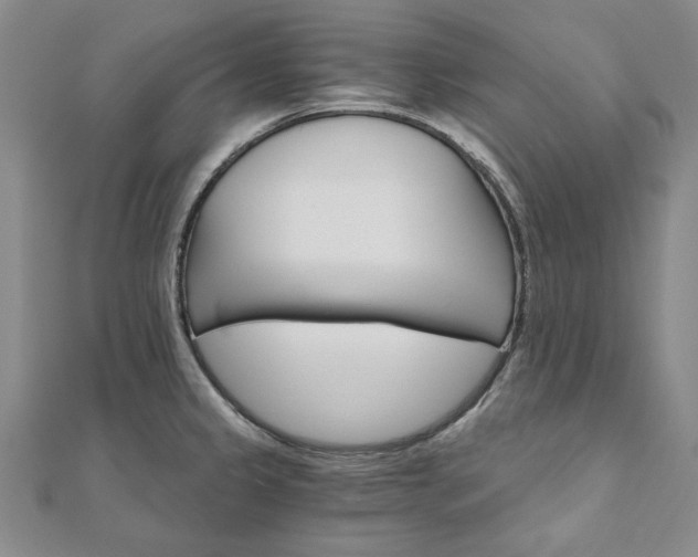 X0000111911333200908031130