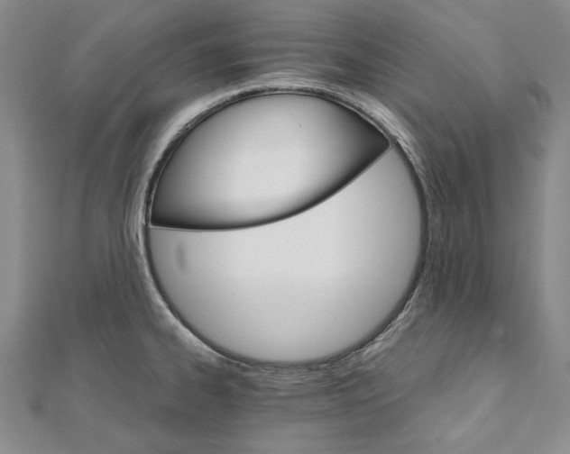 X0000111911334200908031130