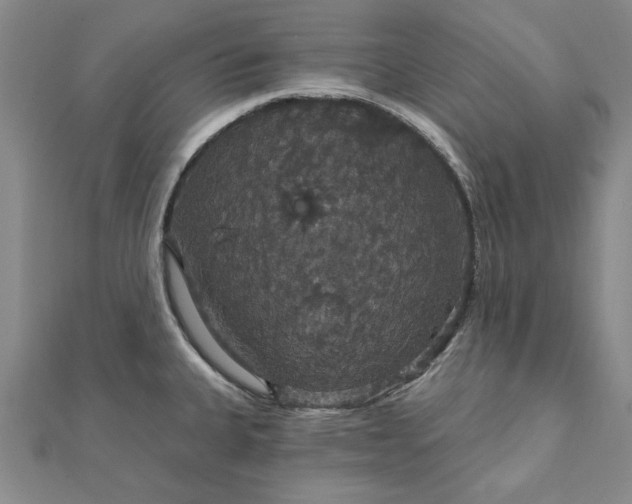 X0000111911335200908031130