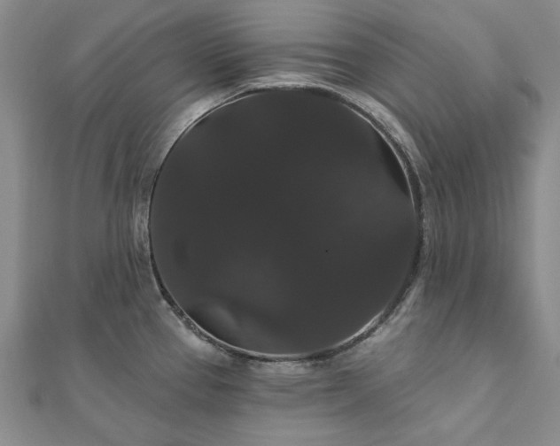 X0000111911337200908031130