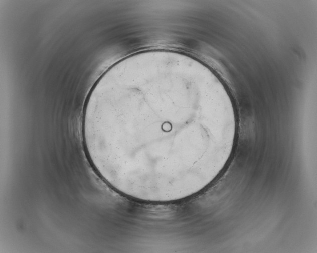X0000111911338200908031130