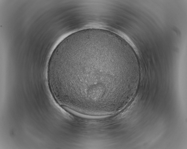 X0000111911339200908031130