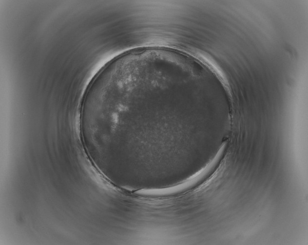 X0000111911340200908031130