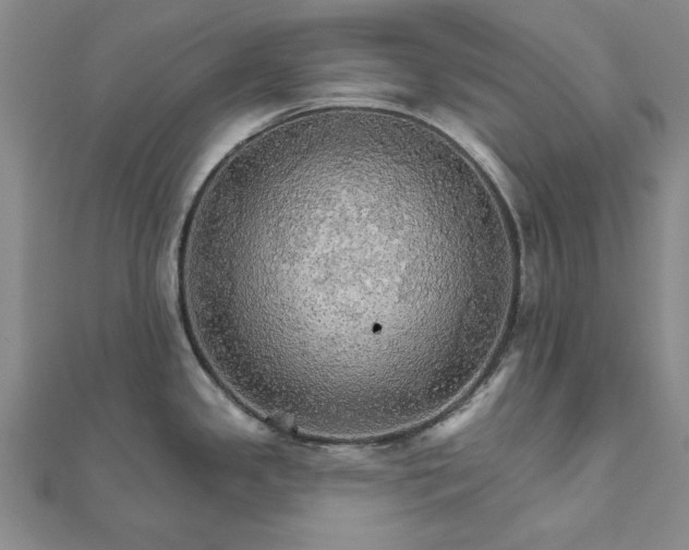 X0000111911341200908031130