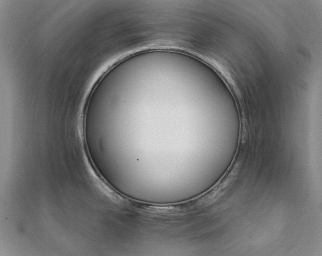 X0000111911342200908031130