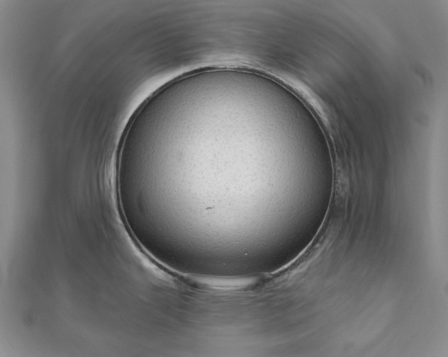X0000111911343200908031130
