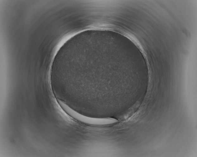 X0000111911344200908031130