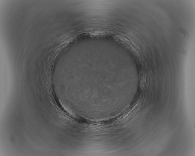 X0000111911345200908031129