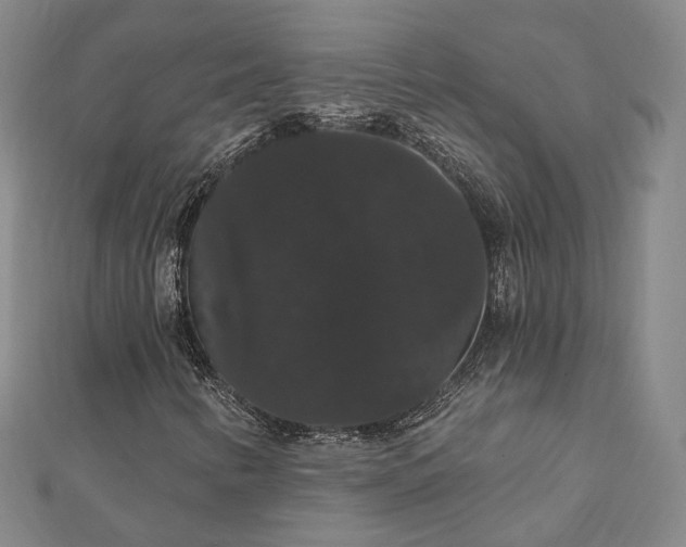 X0000111911346200908031129