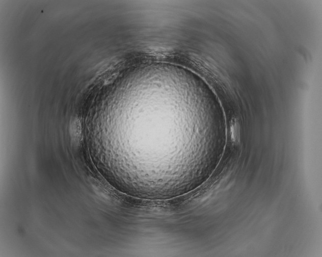 X0000111911347200908031129