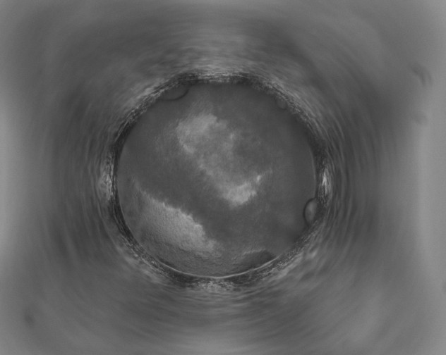 X0000111911348200908031129