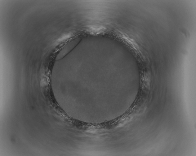 X0000111911349200908031129