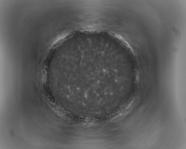 X0000111911350200908031129