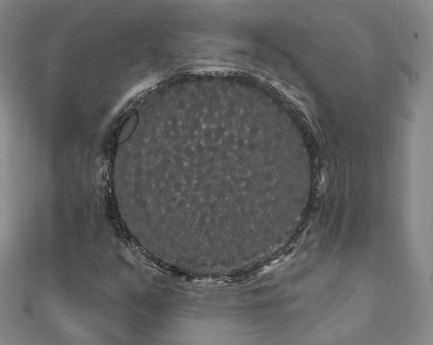 X0000111911351200908031129