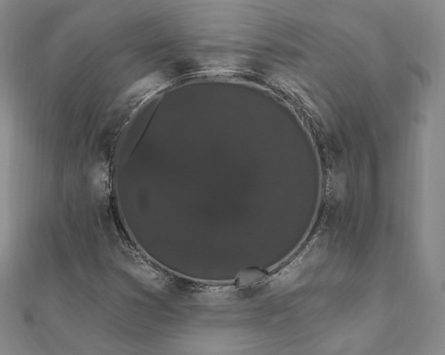 X0000111911353200908031129
