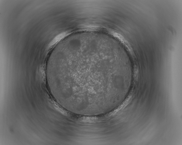 X0000111911354200908031129