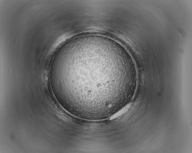 X0000111911355200908031129