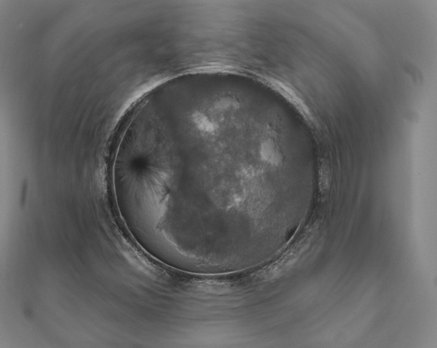 X0000111911356200908031129