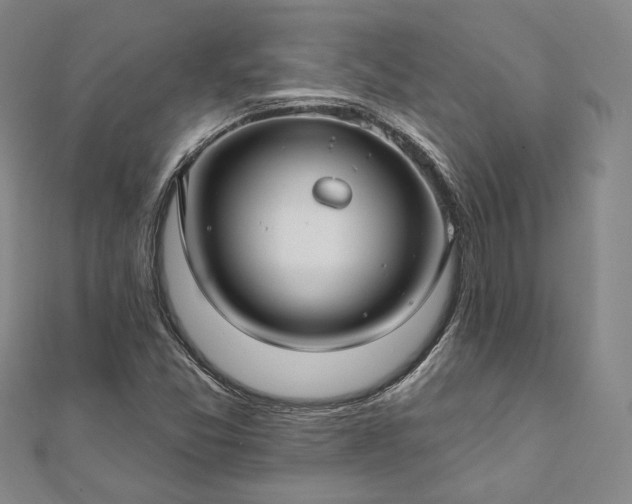 X0000111911357200908031129