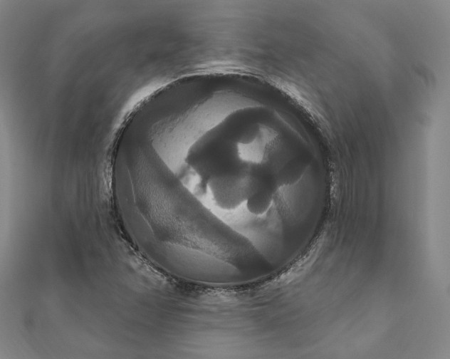 X0000111911358200908031129