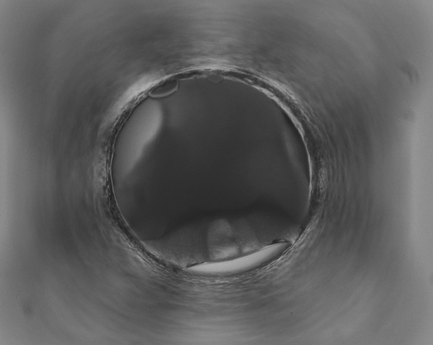 X0000111911359200908031129
