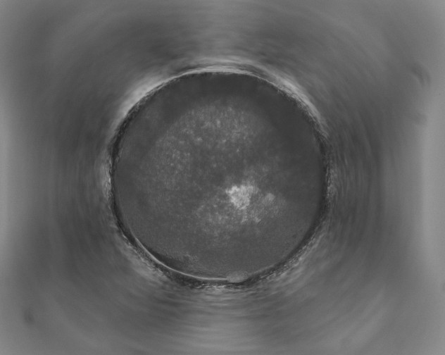 X0000111911360200908031129