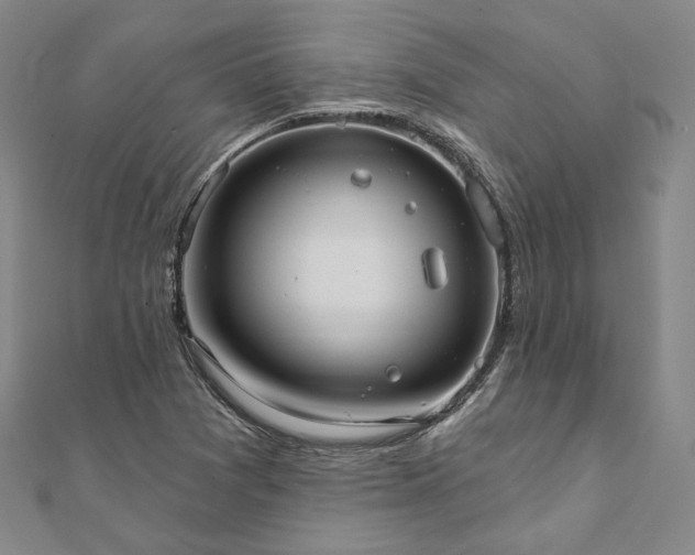 X0000111911361200908031129