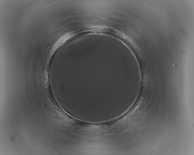 X0000111911362200908031129
