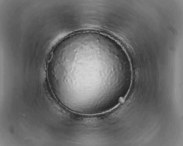 X0000111911363200908031129