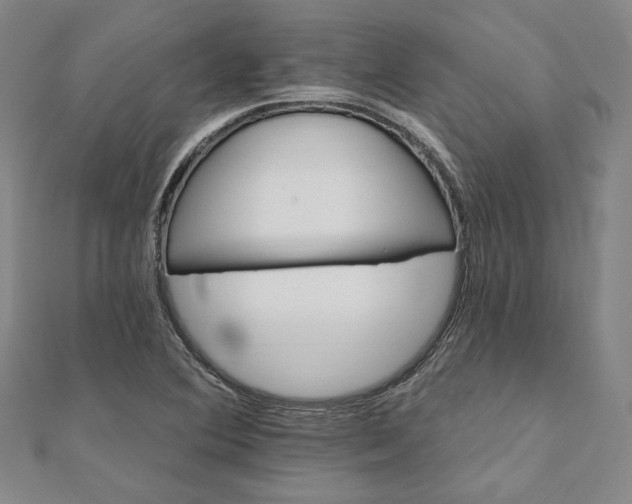 X0000111911364200908031129