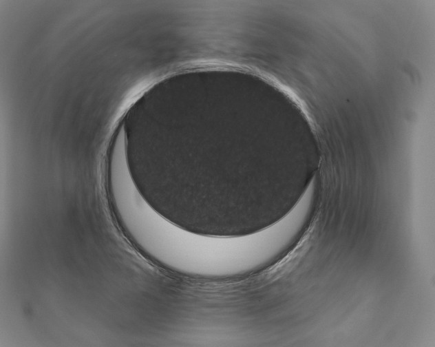 X0000111911365200908031129
