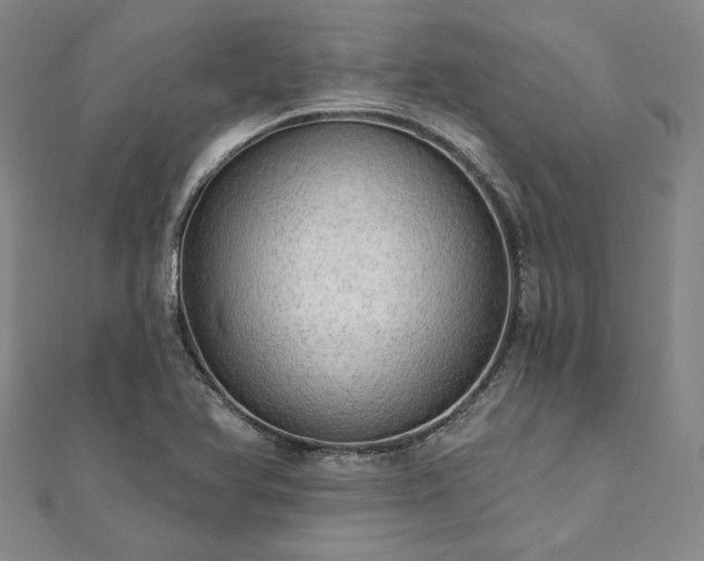 X0000111911366200908031129