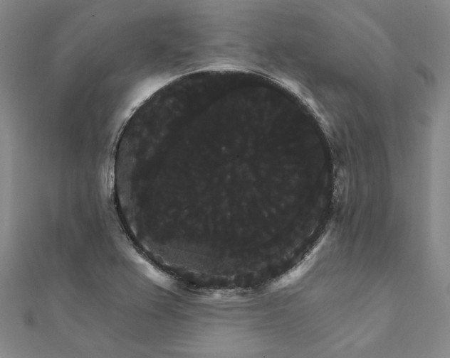 X0000111911367200908031129