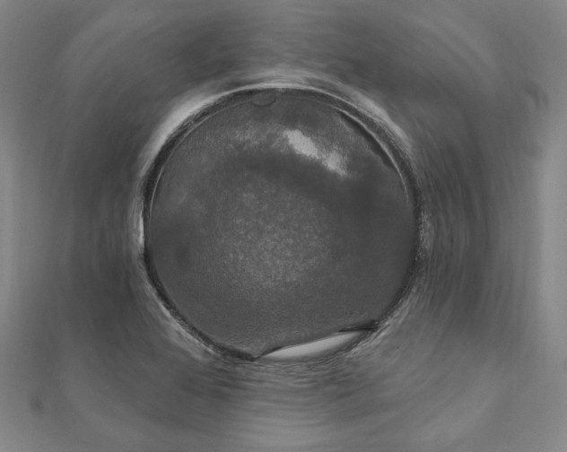 X0000111911368200908031129