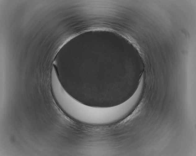 X0000111911369200908031129