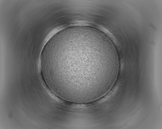 X0000111911370200908031129