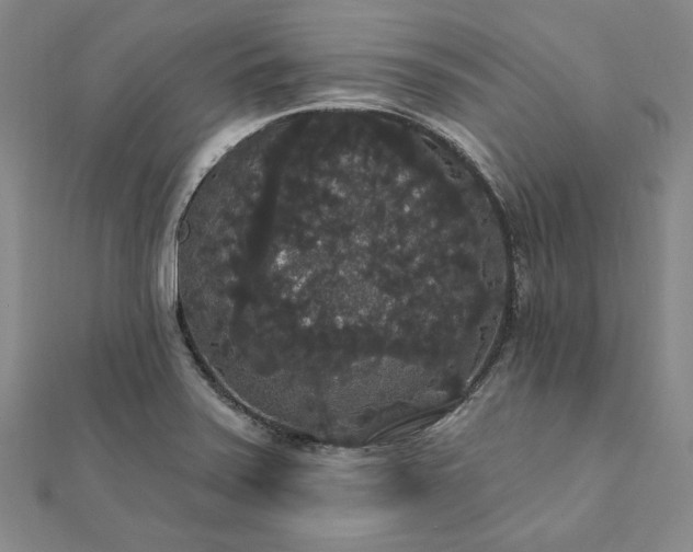 X0000111911371200908031129