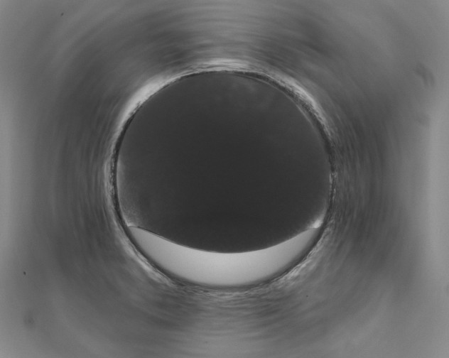 X0000111911373200908031129