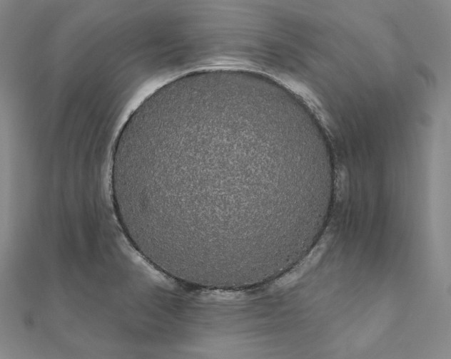 X0000111911374200908031129