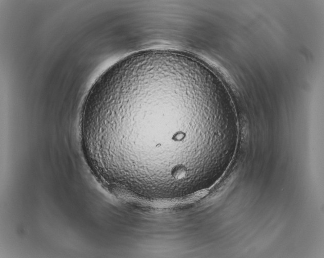 X0000111911375200908031129