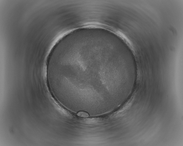 X0000111911376200908031129