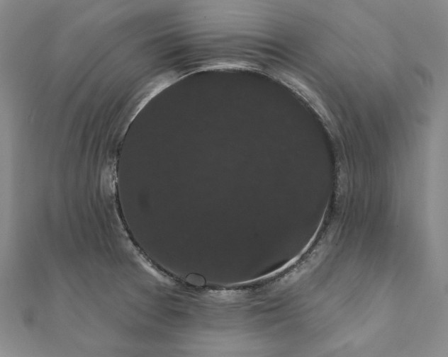 X0000111911377200908031129
