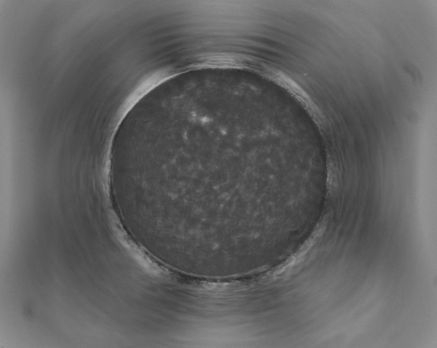 X0000111911378200908031129