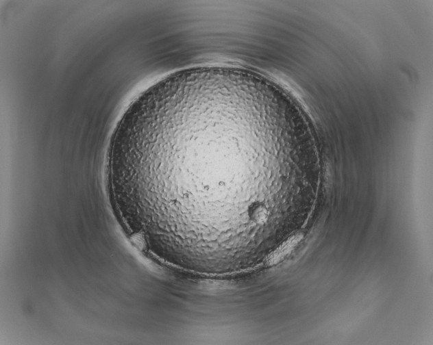 X0000111911379200908031129