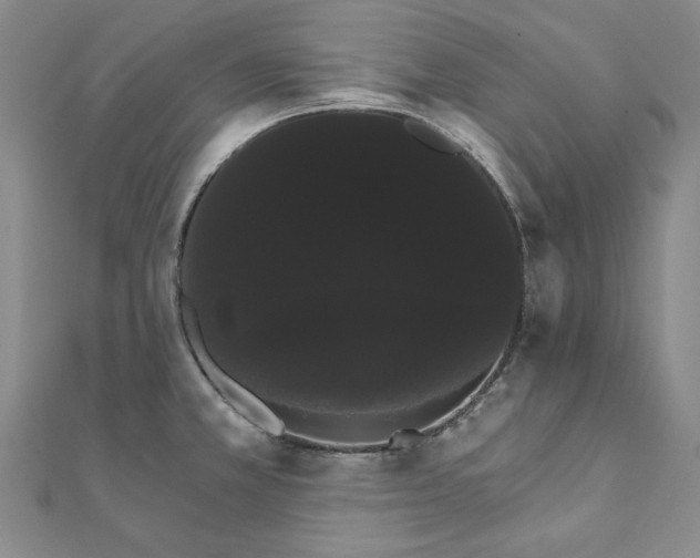 X0000111911381200908031129