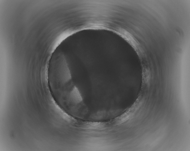 X0000111911382200908031129