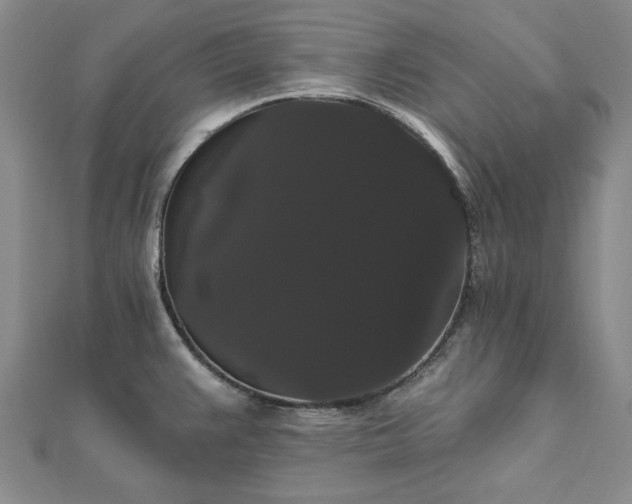 X0000111911383200908031129